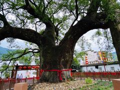 -新安江山水画廊风景区
