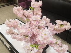 -青藤汗蒸时代会所