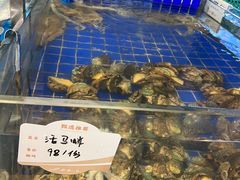 -船歌·鱼水饺青岛菜(闽江二路店)