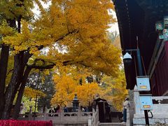 -红螺寺