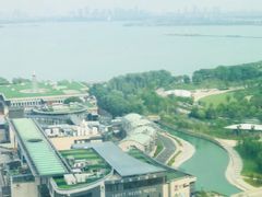 -洄归山也·高空C位湖景下午茶(东方之门店)