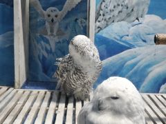 -成都浩海立方海洋公园