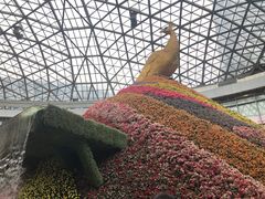 -花之城