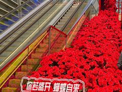 -万科生活广场(东莞松山湖店)
