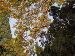 -白马涧龙池景区