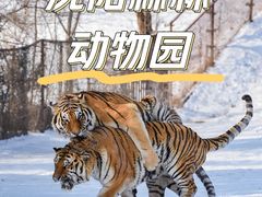 -沈阳森林动物园