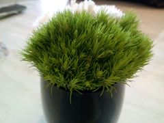 -新发展亚太JW万豪酒店大堂吧