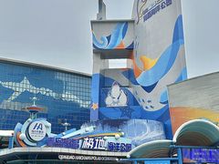 -海合安青岛极地海洋公园