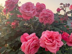 -呼吸森林·生态农庄农家乐私房菜