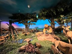 -国家自然博物馆