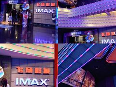 -飞扬影城(正佳IMAX店)