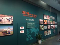 -中国湿地博物馆