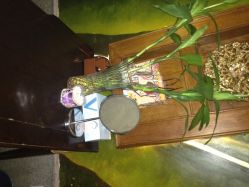 蕾蕾美颜(双菱店●美容美体)-蕾蕾美颜美容美体