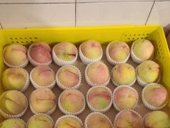 -老袁家蜜桃农场·阳山水蜜桃