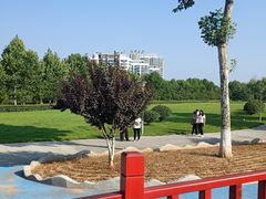 -鉴湖国家城市湿地公园