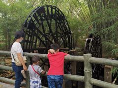 -大屏嶂森林公园