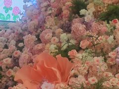 -永旺梦乐城(金银潭店)