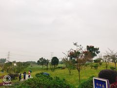 -紫颐香薰山谷景区