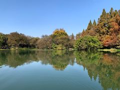 -西湖游船