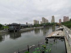 -菊园百果园