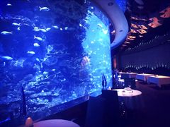 -迪拜帆船酒店海底餐厅