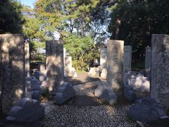 -北京鹫峰国家森林公园