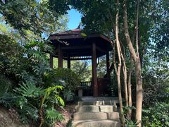 -飞凤山奥体公园