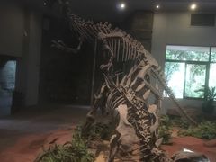 -自贡恐龙博物馆