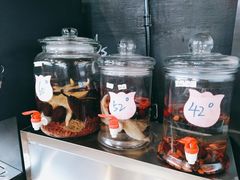 -蟹谢蒸鲜自助餐厅