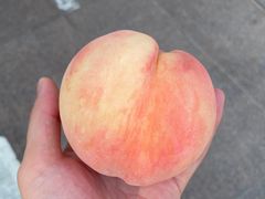 -财二舅火锅招待所