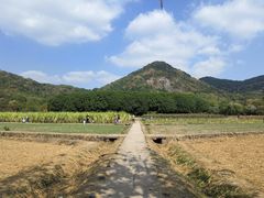 -八卦田遗址公园