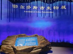 -鄂尔多斯博物馆
