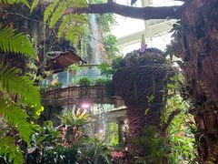 -正佳雨林生态植物园
