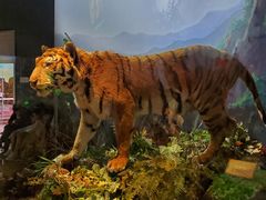 -陕西自然博物馆