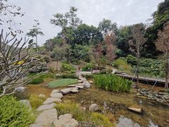 -云溪植物园