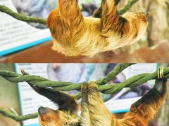 -正佳雨林生态植物园