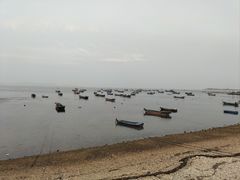 -长岛大黑山岛