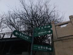 -紫金山山顶公园