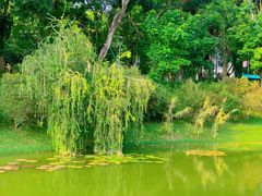 -东莞植物园