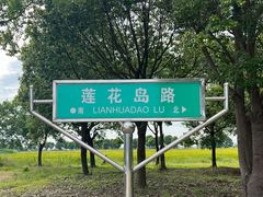 -莲花岛景区