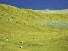 -新疆那拉提国家旅游度假区