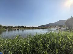 -径山花海