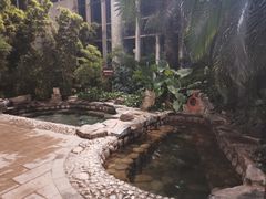 -中家鑫园温泉酒店鑫悦汤泉