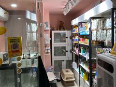 -车接车送·寄养洗护·德文猫舍(大宁店)