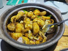 -阿西娅食府(中关村店)