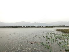 -野鸭湖国家湿地公园