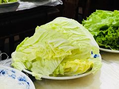 白菜-鑫龙火锅城(经二纬四店)