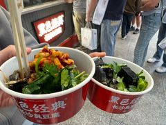 -黑色经典臭豆腐·湖南特产(坡子街店)