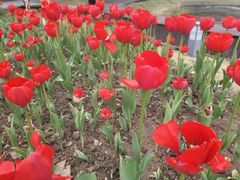 -万达广场(南京建邺店)