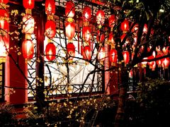 -钦善斋(武侯祠店)